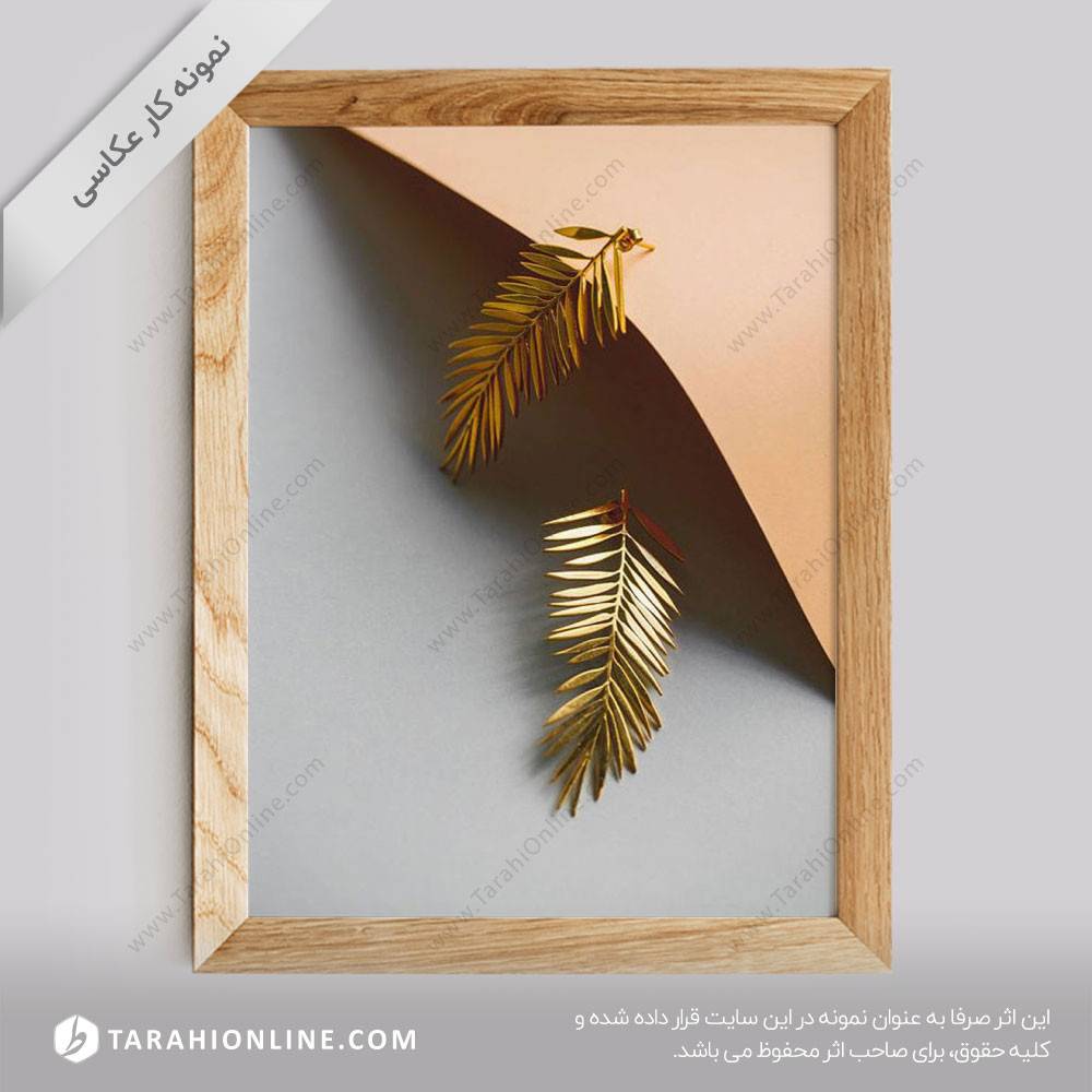 عکاسی از جواهرات - گوشواره 3